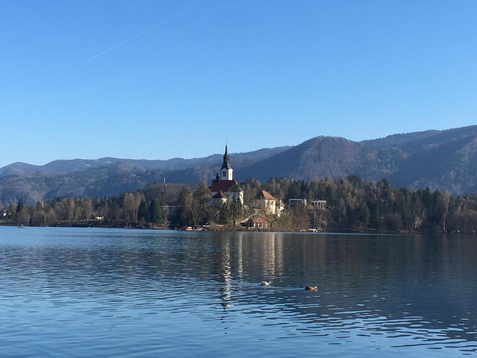 Vila Cerne Bled Dış mekan fotoğraf